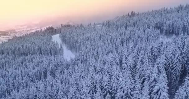 Барвистий схід сонця гірський зимовий ліс повітря. Ніхто не природи сніговий альпійський пейзаж. Снігові сосни — стокове відео