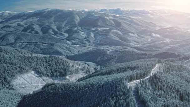 Salida del sol aéreo sobre cordilleras nevadas. Invierno nadie naturaleza paisaje. Bosque de abeto en monte — Vídeos de Stock