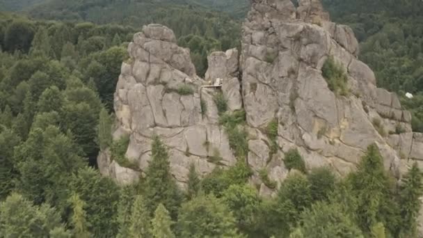 Closeup geruïneerd kasteel op de berg sparren bos antenne. Natuurlandschap. Groene pijnbomen in de zomer — Stockvideo