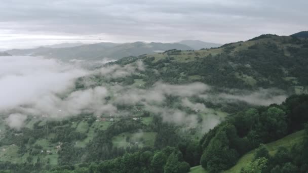 Дрон над туманними хмарами у гірському селі. Ніхто не природи ландшафтний літак. Сосновий ліс на дачах — стокове відео