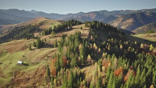 Vakantie op het platteland in de herfst bergbos antenne. Niemand zon natuur landschap. Plattelandsvervoer — Stockvideo