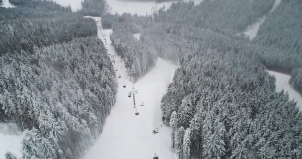 Skigebied met lift, piste antenne. Winter niemand natuur landschap. sparrenbos op berghellingen — Stockvideo