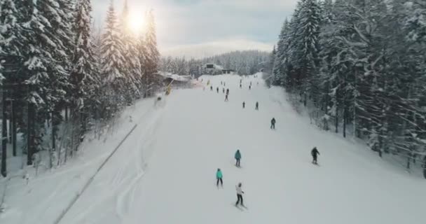 Síelők a hó sípályák üdülőhely antenna. A nap süt a lucfenyő tetejére. Téli sportok kikapcsolódása — Stock videók