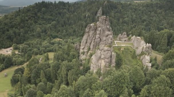 Historyczne ruiny zamku na szczycie lasu sosnowego. Żaden krajobraz natury. Starożytna twierdza — Wideo stockowe