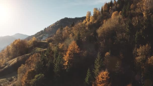 Villaggio di montagna al sole autunno foresta aerea. Alpino nessuno paesaggio naturale. Un bagliore di sole. Cottage — Video Stock