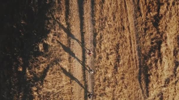 Άνθρωποι που περπατούν στον αγροτικό δρόμο πάνω κάτω από την κεραία. Φυσικό τοπίο. Περιβάλλον. Οι τουρίστες καλοκαιρινές διακοπές — Αρχείο Βίντεο