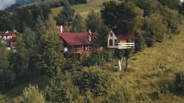 Domek z domkiem na drzewie w lesie antenowym. Drewniany domek na gałęzi. Górska wioska w letni dzień — Wideo stockowe