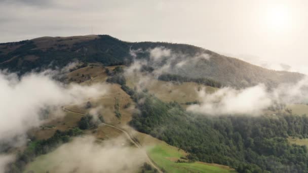 Ralentissez le mouvement aérien du brouillard sur la forêt de pins de montagne. Route rurale sur les terres agricoles vertes. Champ d'herbe — Video