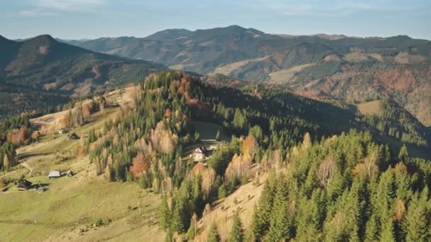 Herfst bergbos, huisjes antenne. Niemand natuur landschap in de herfst kleuren. Plattelandsgrasvelden — Stockvideo