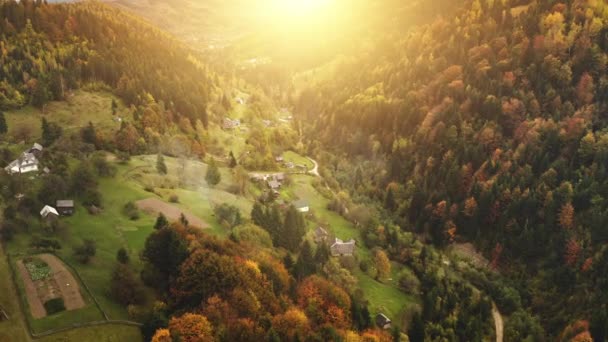Barevný západ slunce nad podzimním lesem v horském městečku. Listnaté stromy na venkově chaty — Stock video