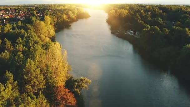 Amanecer en el río. Aérea del bosque otoñal. Paisaje natural matinal. Cabañas en coloridos árboles frondosos — Vídeos de Stock