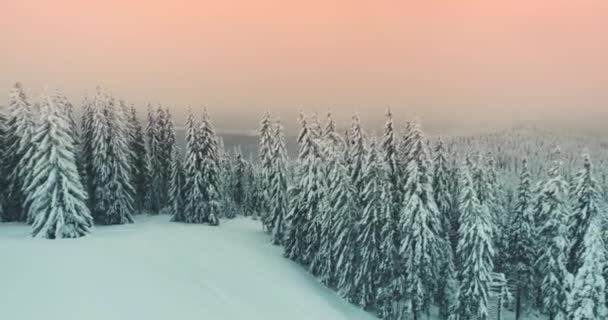 Lever de soleil à l'hiver forêt de montagne aérienne. Personne paysage naturel. Neige alpine au brouillard matinal — Video