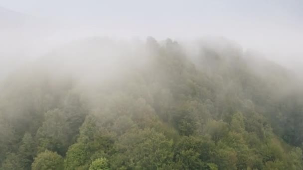 Тімелапс туманних гір лісової авіації. Помилка на деревах. Сонячні промені на хмарах. Ніхто ландшафт природи — стокове відео