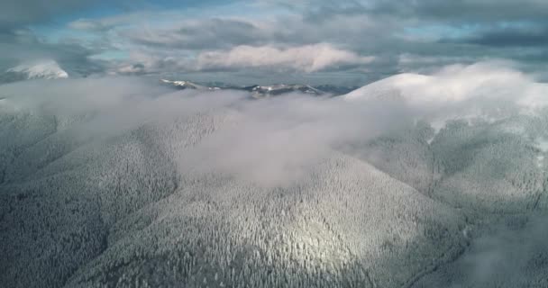 Flujo de niebla blanca sobre bosque de montaña de invierno plano panorámico aéreo. Nadie naturaleza paisaje. Madera de nieve — Vídeos de Stock