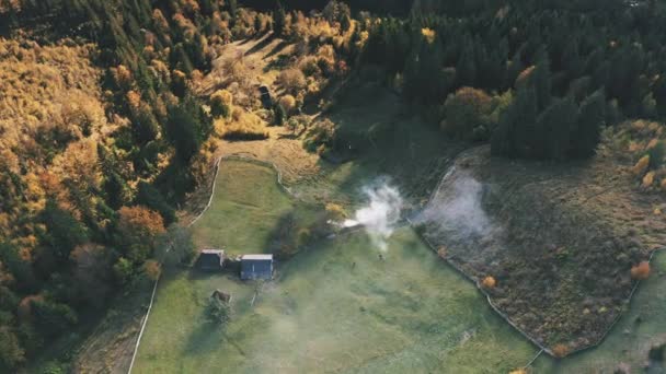 Fumo di fuoco a cottage in cima di foresta giù aerea. Autunno nessuno paesaggio naturale. Campi di campagna — Video Stock