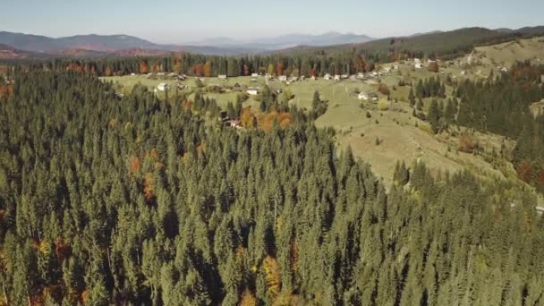 Pueblo de montaña en la antena del bosque de pinos. Naturaleza paisaje. Árboles de otoño en las cabañas. Camino rural — Vídeo de stock