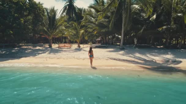 Вид сзади на девочку, идущую по пляжу. Сексуальная женщина в бикини развлекается на побережье океана — стоковое видео
