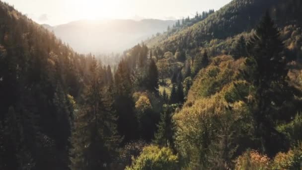 Ορεινό δάσος τοπίο εναέρια πτήση στο φως ηλιοβασιλέματος. Κονιώδη πράσινα δέντρα καλύπτουν άγριους λόφους — Αρχείο Βίντεο