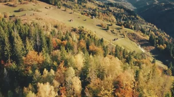 Paysage naturel des Carpates. Automne forêt montagne aérienne. Vol hyperlapsus au-dessus du village rural — Video