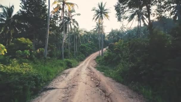 Camino de campo en la selva. Palmera bosque tropical alrededor. Fondo de la naturaleza. Viajes, turismo al aire libre — Vídeo de stock