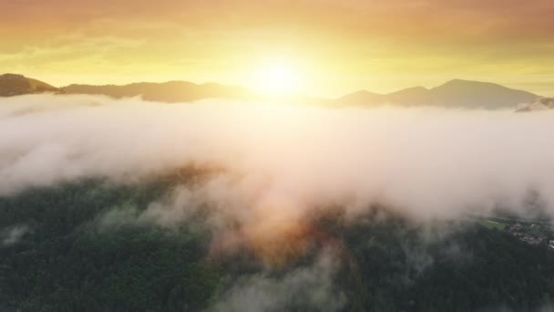 Vista aérea no nascer do sol laranja nas montanhas de nevoeiro Alp. Névoa matinal sobre a floresta de abeto verde. Panorama — Vídeo de Stock