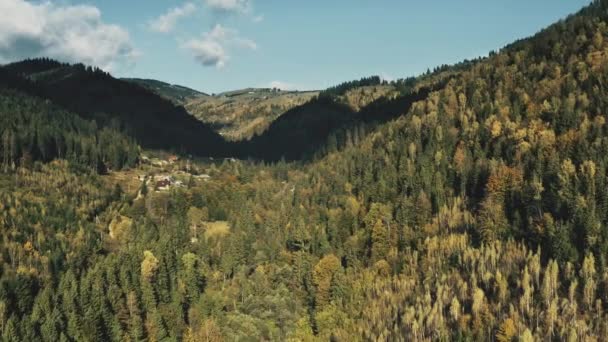 緑の森のアルプスの山の村、航空風景です。自然の峡谷で松の木。自然 — ストック動画