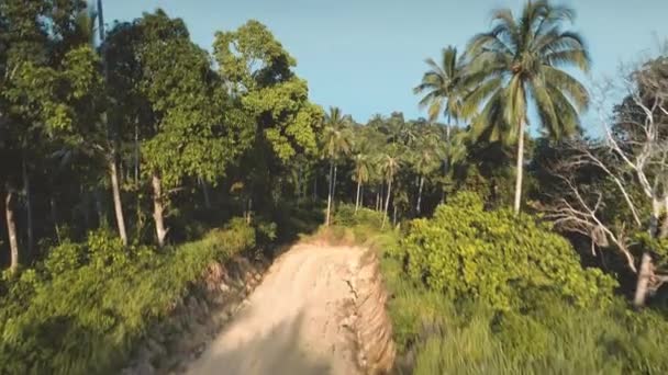 Légi dzsungel sziget erdei út táj. Thaiföld trópusi jelenete. Természetvédelmi háttér. — Stock videók