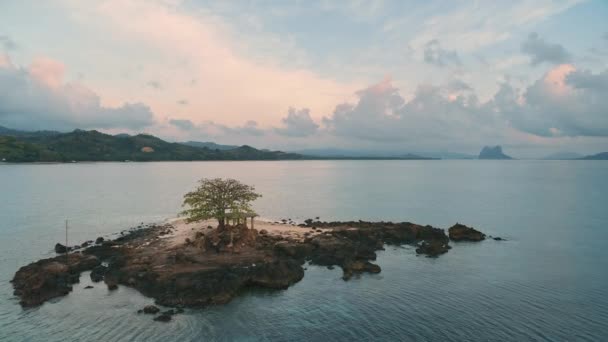 Liten tropisk ö med ensamt träd antenn. Dramatisk solnedgång i havet. Naturbakgrund — Stockvideo