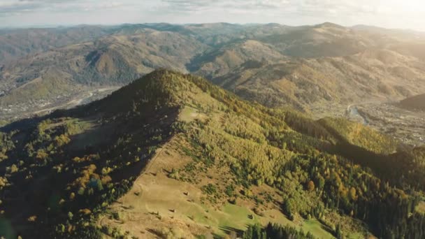 Fjelltoppene i grønn skog. Karpatene reiser dit de skal. Furutrær, enger, elv, vei – stockvideo