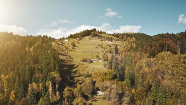 Çam ağacı ormanları ve Lonley evleri olan bir sonbahar dağı tepesi. Kırsal tarım arazisi — Stok video