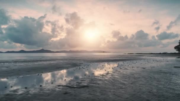 夕方の海と野生のビーチの上の空中ビュー。外の世界から切り離された島の夢を借りる. — ストック動画