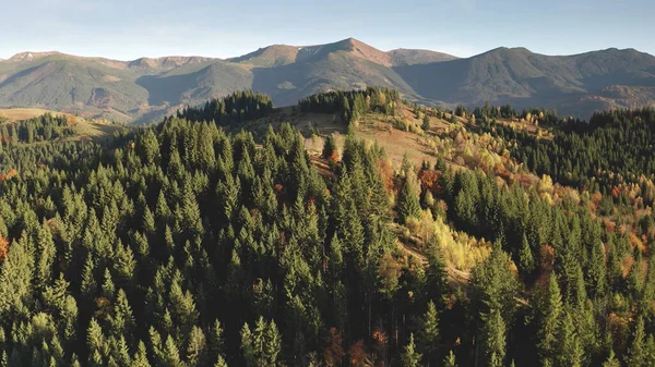 秋天的森林在山岭的空中.在阳光普照的乡间,没有人是自然景观.偏僻的茅屋 — 图库照片