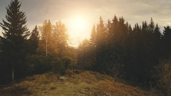 산꼭대기의 소나무 위로 태양이 지고 있어. 공중에서는 아무 도 자연 경관을 보지 못합니다. 골짜기에 있는 시골 마을 — 스톡 사진