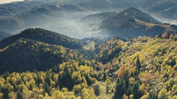 Aerial green pine trees forest at mountain. autumn nobody nature landscape. Greenery grass at hills — Stock Photo, Image