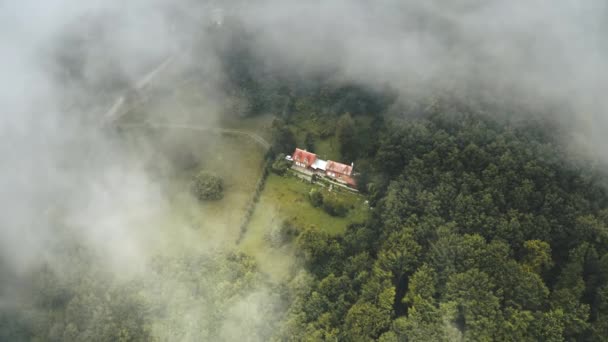 Sis içindeki ev ve ağaçlar. Yaz yeşili orman, hava manzarası. Sabah sisi uzak köy yavaş çekim. — Stok video