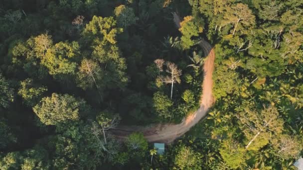 Vista aérea, estrada rural da selva entre a floresta tropical verde. Viagem gratuita para a Ásia temporada de férias de verão. — Vídeo de Stock