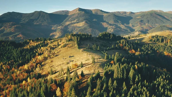 Montañas inexploradas con pinos aéreos. Otoño nadie naturaleza paisaje. Casa rural —  Fotos de Stock