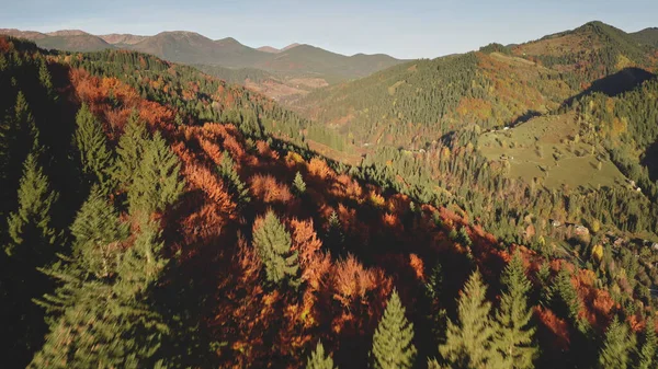 Outono aéreo floresta de montanha. Sol ninguém paisagem da natureza. Edifícios do campo em beleza natural — Fotografia de Stock