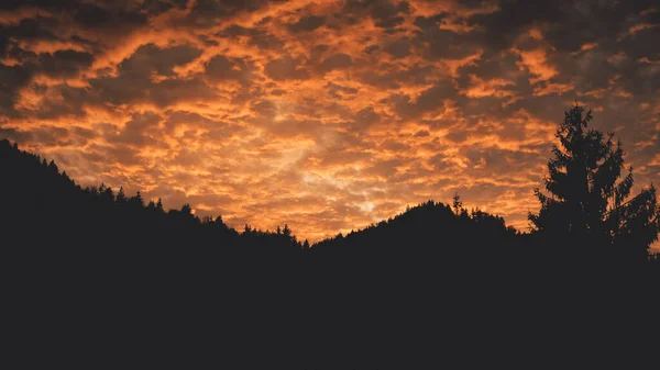Dağ köknarı orman silueti günbatımı anteninde. Hiç kimse doğa manzarası değil. Alacakaranlık bulutlu gökyüzü güneşi batıyor — Stok fotoğraf