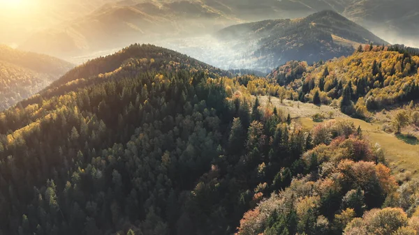 Sun trees forest on mountain ranges aerial. Nobody nature autumn landscape. Mountaineering vacation — Stock Photo, Image