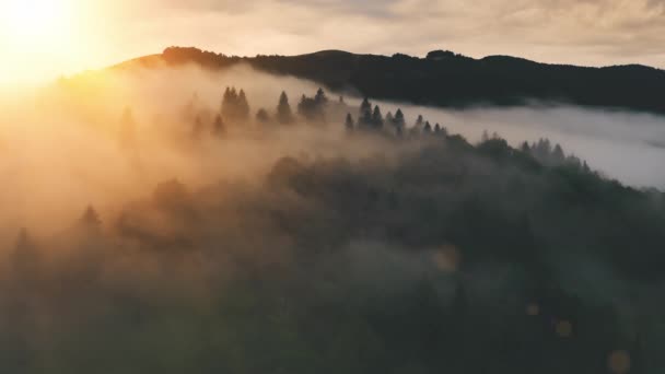 Oranje zonsopgang boven bergen. Mist op bomen in het bos, vanuit de lucht gezien. Romantische verbazingwekkende zomer zonsopgang. — Stockvideo