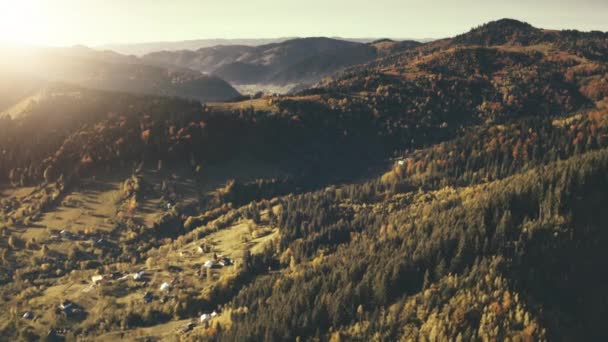 Aerial sollys over landskabet i skoven på bjergene. Gule, grønne løvtræer. Landskabelig natur. – Stock-video