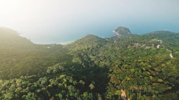 Zonlicht boven zee en jungle eiland. Bos op bergen antenne. Groene bomen en blauwe lucht en oceaan. — Stockvideo