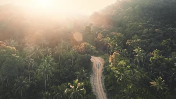 La luz del sol sobre las palmeras y el bosque en la colina aérea. Camino en la selva densa. Los rayos del sol brillan en los árboles del follaje — Vídeos de Stock