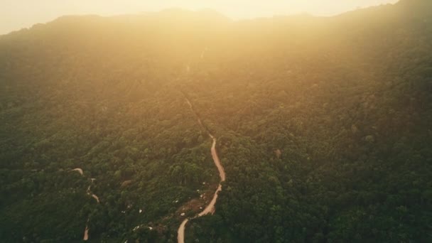 Aerial lyse sol skinner på jungle vej. I bjergene er der tætte vilde grønne skov. Orange sollys – Stock-video