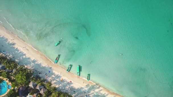 Sahildeki palmiye ağaçlarının deniz gölgesi. Lüks okyanus manzaralı lüks tatil köyü kaçamağı. Rüya turları — Stok video
