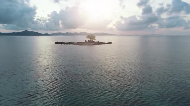 Vista aérea árvore solitária cresce no banco de areia no oceano. Canopy em minúscula ilha no mar com montanhas antigas. — Vídeo de Stock