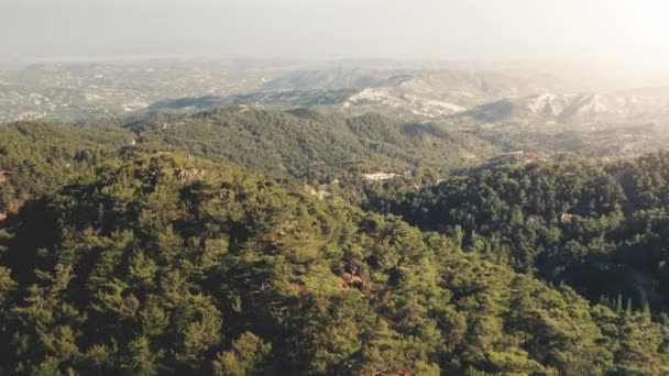 Légi kilátás napos örökzöld erdő a hegyekben. Fényes napfény a zöld fák felett. Drónrepülés — Stock videók