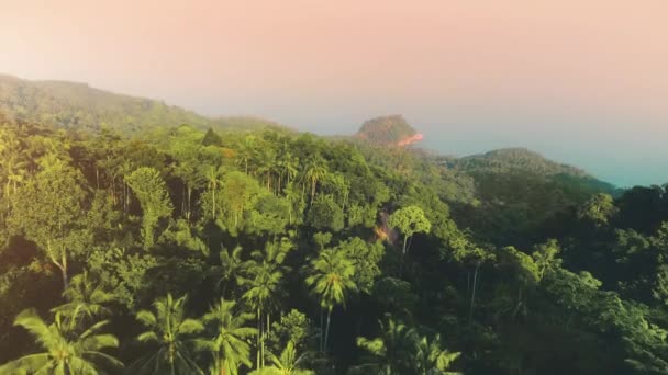 Dağ adasındaki palmiye ağaçlarının üzerinde gökyüzü pembe gündoğumu. Mavi deniz kıyısındaki yeşil orman. Gün batımı gökyüzü. — Stok video