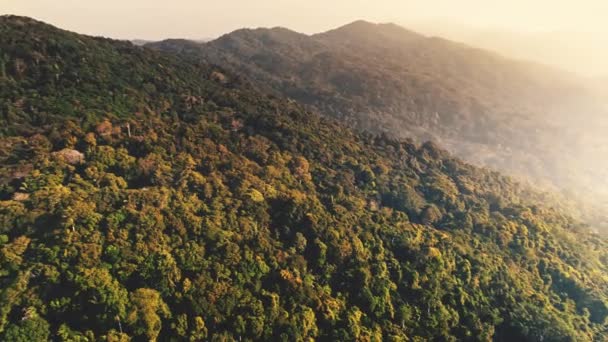 Vue aérienne aube brillante sur la forêt verte sur les montagnes. Le rayon de soleil jaune traverse la jungle et le brouillard — Video